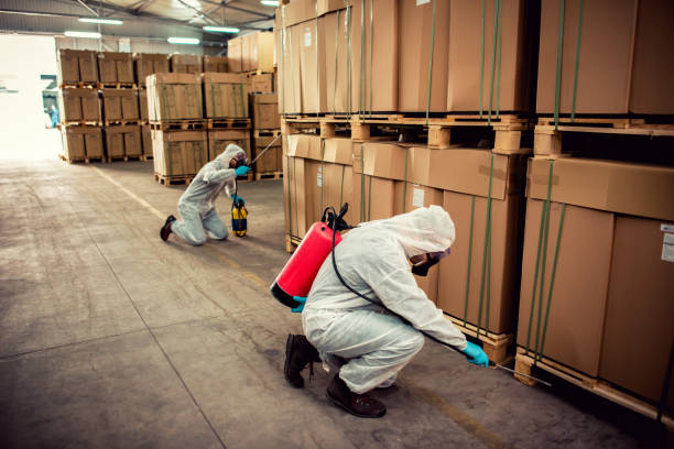 Best Local Pest Control Services  in Lake Park, GA