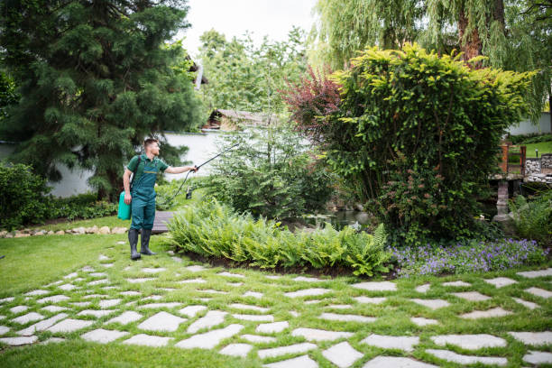 Best Best Pest Control Companies  in Lake Park, GA